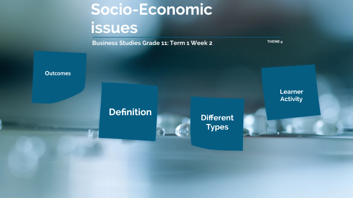 business-studies-grade-11-term-1-week-2-socio-economic-issues-by