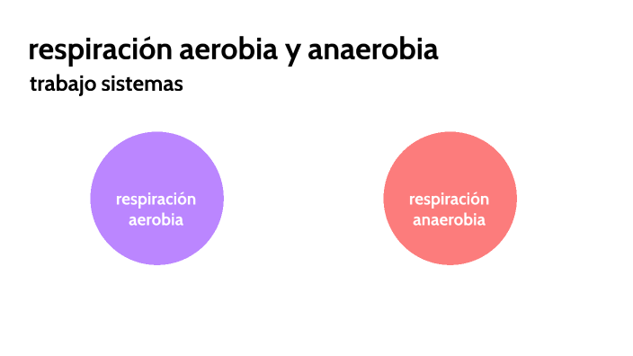 Respiracion Aerobia Y Anaerobia By Karen Dayana Acosta GarcÍa On Prezi 1133