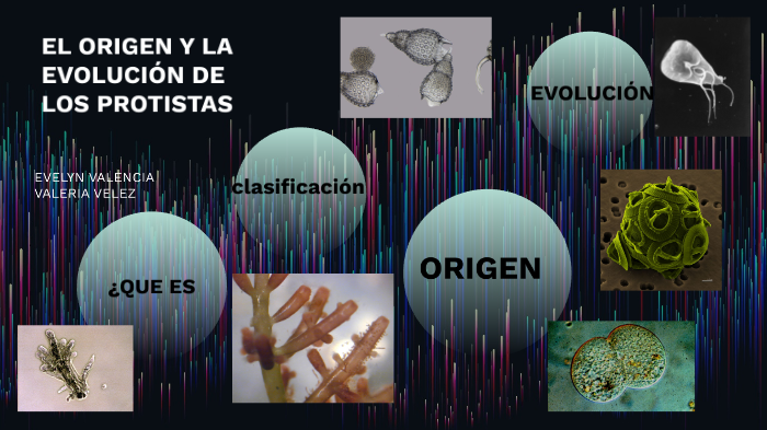 ORIGEN Y EVOLUCIÓN DE LOS PROTISTAS by evelyn pardo on Prezi