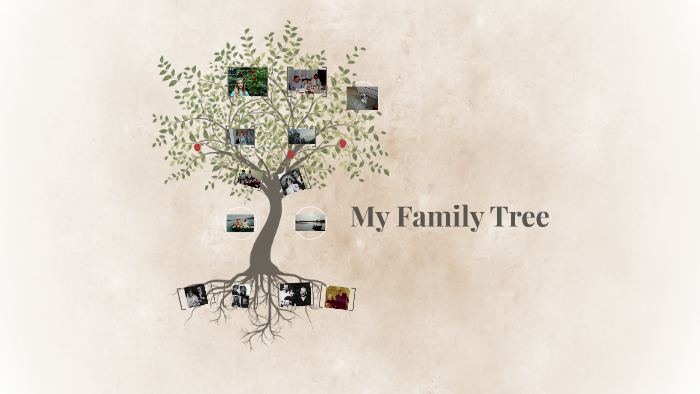 My Family Tree by Michał Zieliński on Prezi