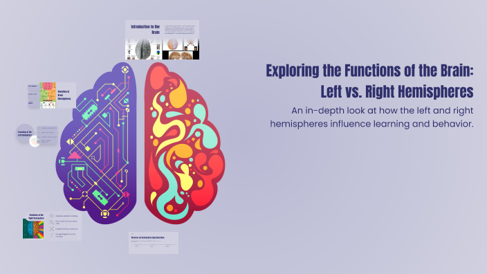 Exploring the Functions of the Brain: Left vs. Right Hemispheres by ...