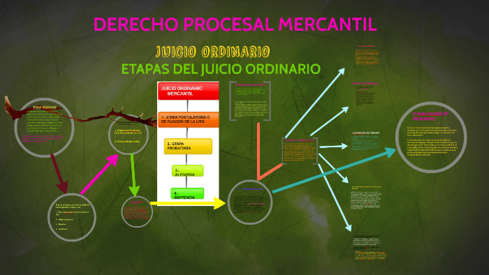 DERECHO PROCESAL MERCANTIL by durvin lopez on Prezi