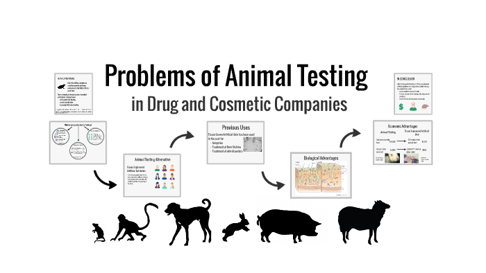 problems-of-animal-testing-by-bronte-brazier