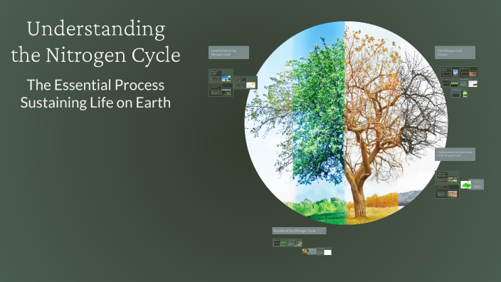 Understanding the Nitrogen Cycle by Krishna Upadhyay on Prezi