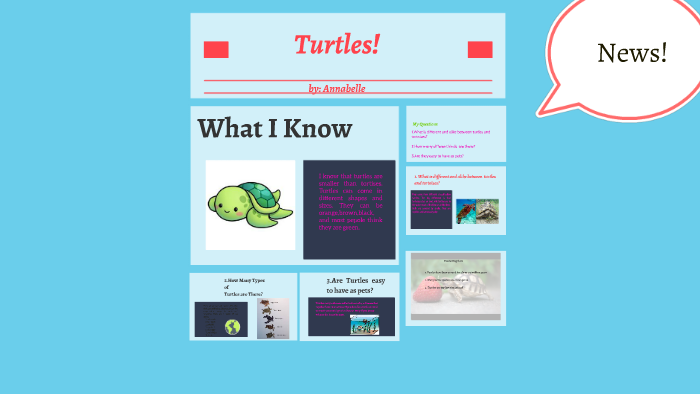 Turtles by Dacula Focus on Prezi