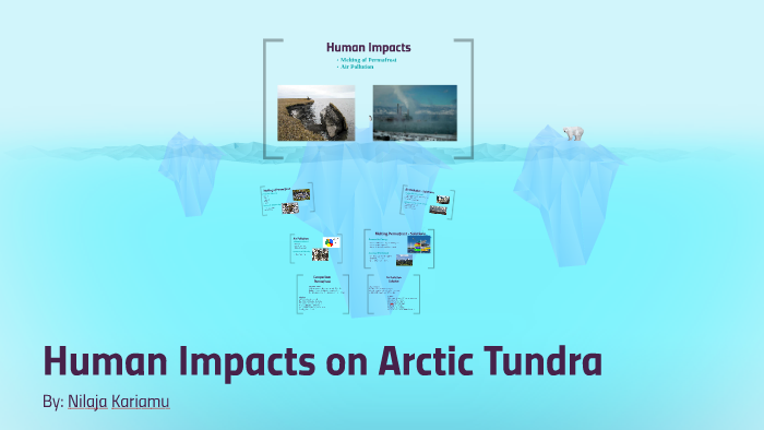 what is the human impact on the arctic tundra