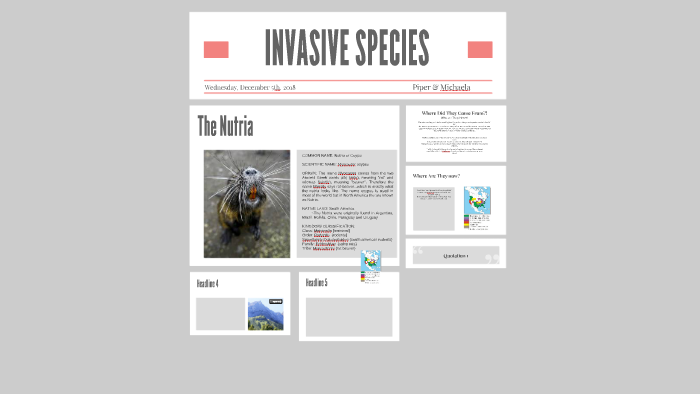 INVASIVE SPECIES by Piper piper on Prezi