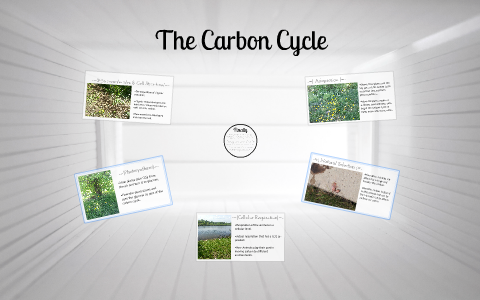 The Carbon Cycle by Antonio Moon on Prezi