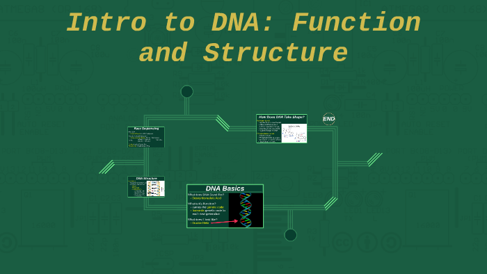 Intro to DNA: Function and Structure by Garren Blach on Prezi