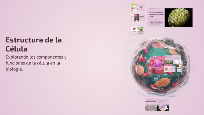 Estructura de la Célula by mauricio uziel lopez Ramirez on Prezi