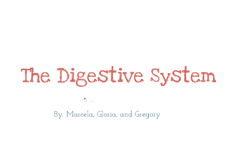 Digestive System by Marcela Garcia on Prezi