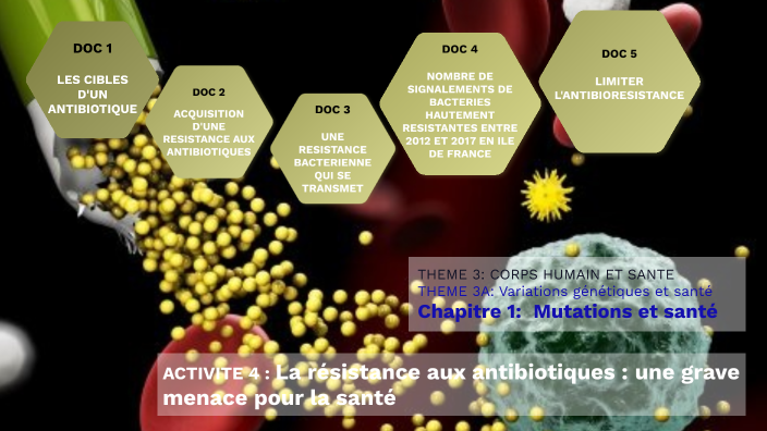 1ere Spe Svt Theme 3a Activite 4 By Enseignante Chabanne On Prezi 5011