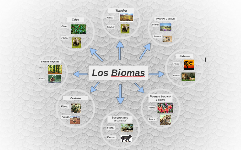Los biomas by leslie jazmine laos guevara on Prezi