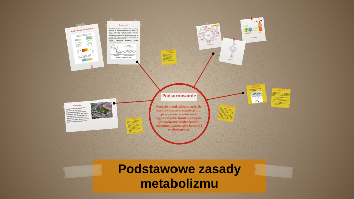 Podstawowe zasady metabolizmu by Agata Tadeja on Prezi