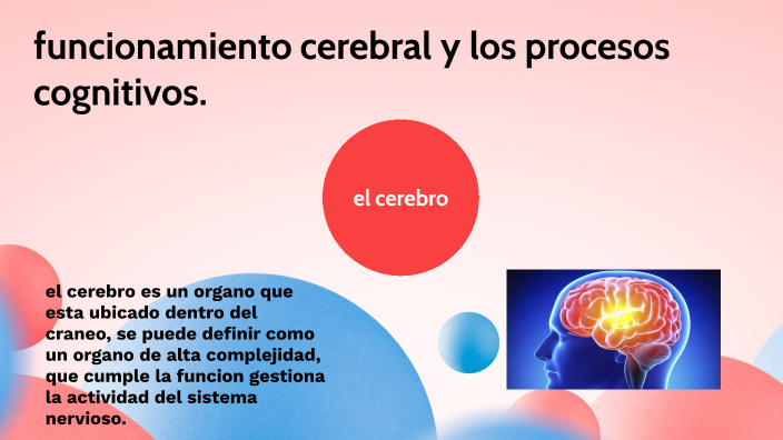 funcionamiento cerebral y los procesos cognitivos by brenda medina ...