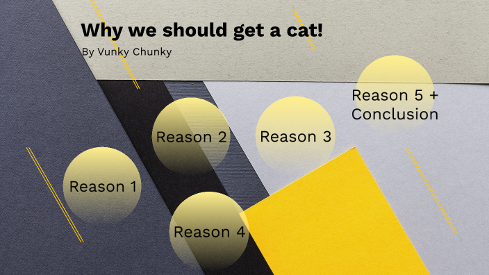 why-we-should-get-a-cat-by-rayaan-siddiqui-on-prezi