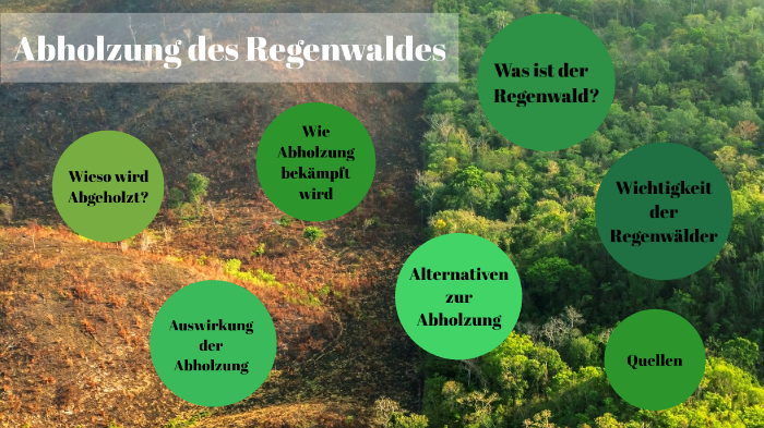 Zerstörung Des Regenwaldes Ursachen Und Folgen Abholzung des Regenwaldes by Denis Todorov on Prezi