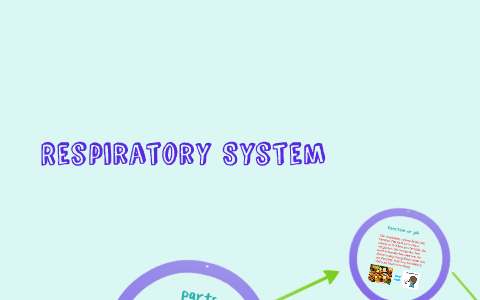 Respiratory System by on Prezi