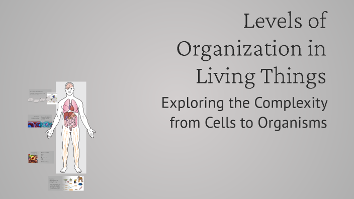 Levels of Organization in Living Things by zymeir coleman on Prezi