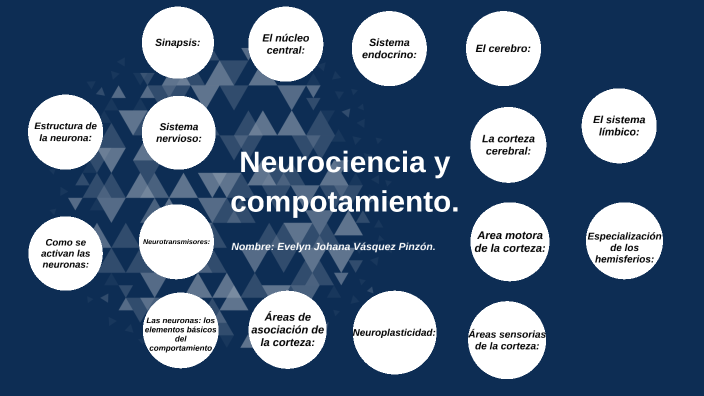 Mapa Conceptual Neurociencia Y Comportamiento By Evelyn Vasquez On Prezi 0489