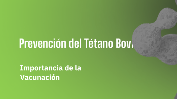 Prevención del Tétano Bovino by Abel Cerezo Diaz on Prezi