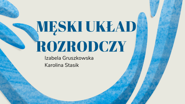 żeński Układ Rozrodczy Prezentacja MĘSKI UKŁAD ROZRODCZY by iza gruszkowska on Prezi