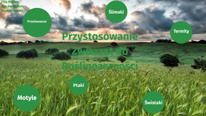 Przystosowanie Zwierząt Do Roślinożerności By Fifciu Prokop On Prezi