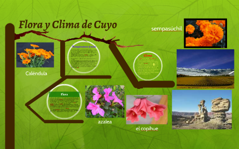 Flora y Clima de Cuyo by Lucas Vir
