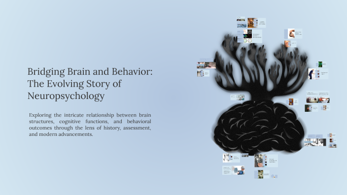 Bridging Brain and Behavior: The Evolving Story of Neuropsychology by ...