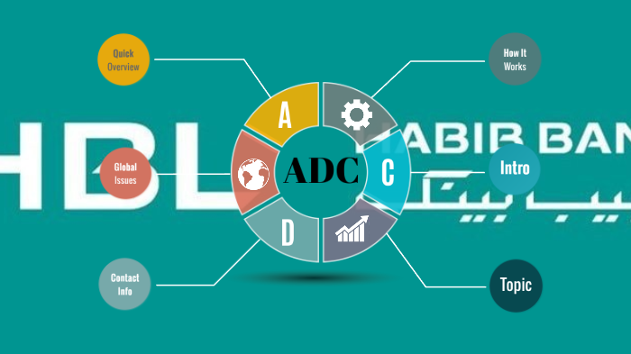 hbl-adc-alternate-delivery-channels-by-noor-ahmed