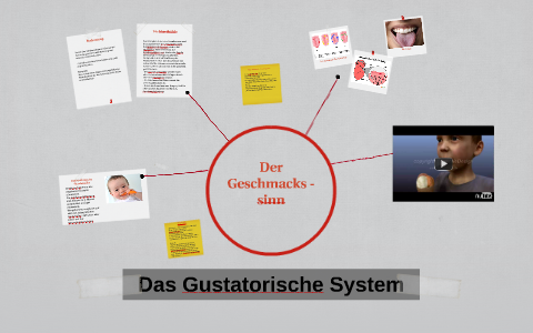 Das Gustatorische System - By Herr Meier On Prezi