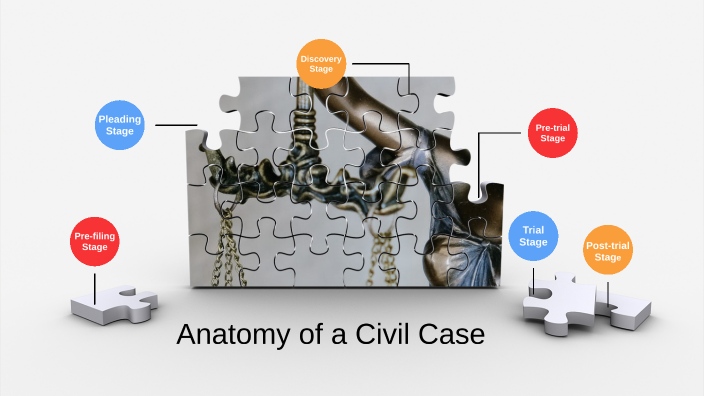 anatomy-of-a-civil-case-by-zoe-schwartz