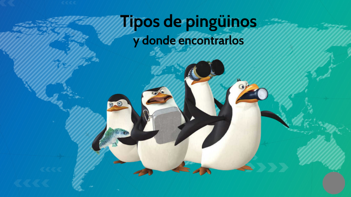 5 tipos de pinguinos