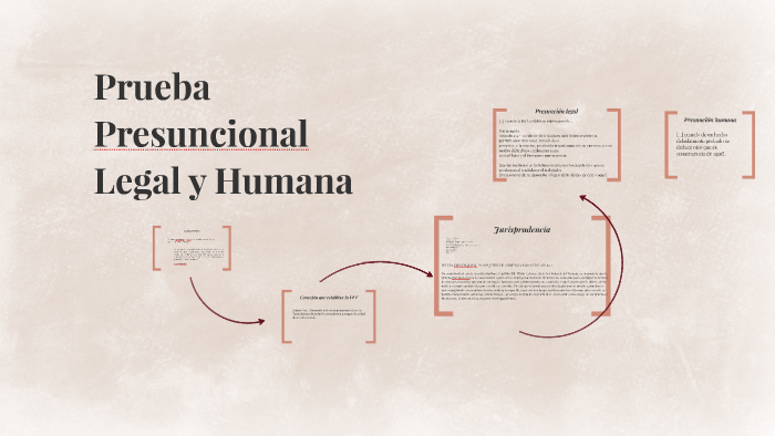 Prueba Presuncional Legal Y Humana By Alejandro Perez On Prezi 2246