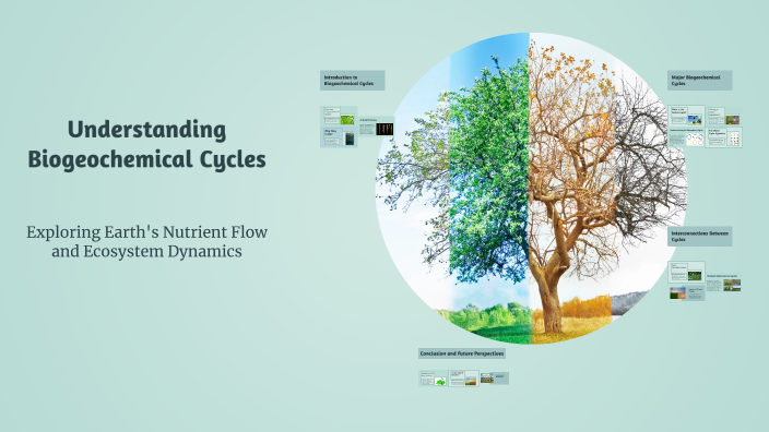 Understanding Biogeochemical Cycles by Melissa Lindahl on Prezi
