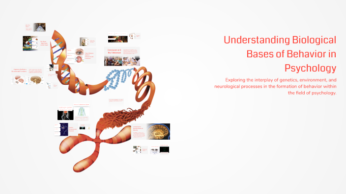 Understanding Biological Bases of Behavior in Psychology by Anika Verme ...