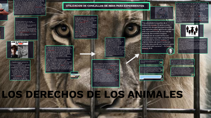 LOS DERECHOS DE LOS ANIMALES by Andrea Nieblas on Prezi