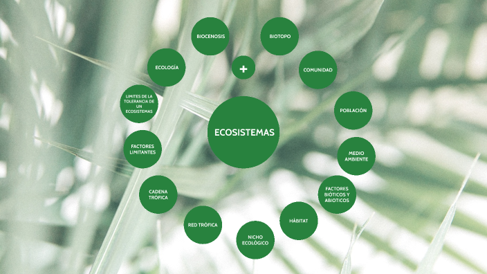 Ecosistemas by Duvan Felipe Rodríguez Garzón on Prezi