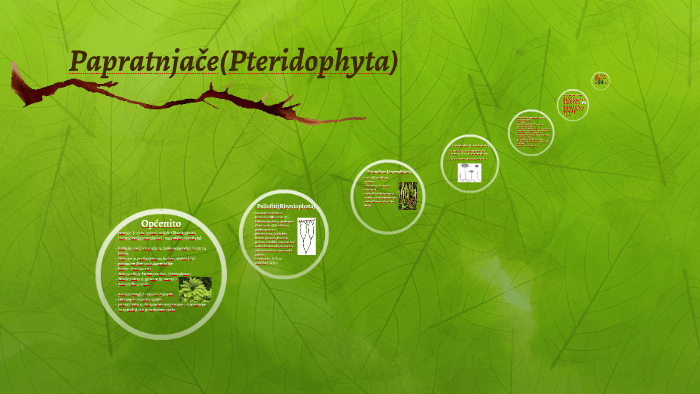 Papratnjače by Lana Jović on Prezi