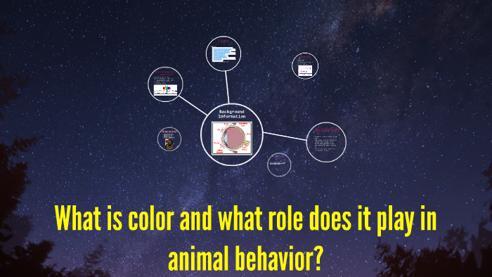 what-is-color-and-what-role-does-it-play-in-animal-behavior-by-kate