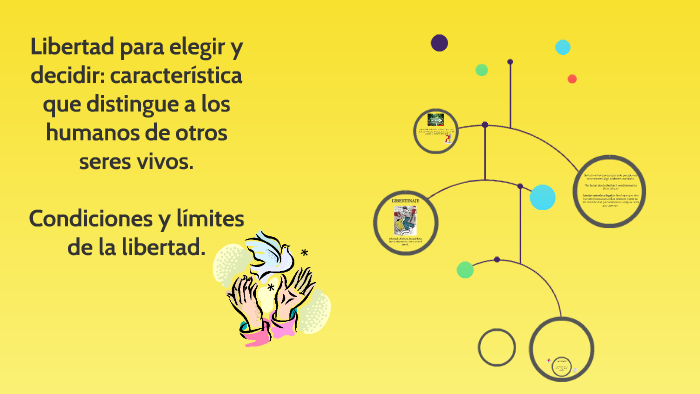 Libertad para elegir y decidir: característica que distingue by Selene