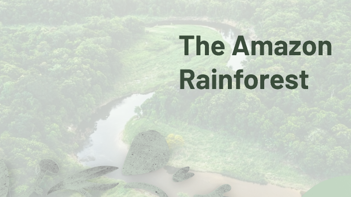 The Amazon Rainforest by Emily Howey on Prezi