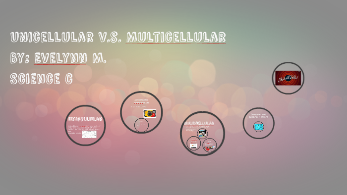 Multiseluler Uniseluler Unicellular v.s. Multicellular by Evelynn M. on Prezi