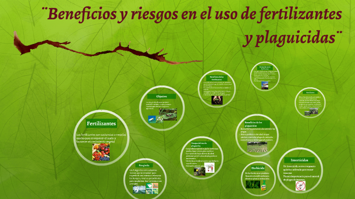 Uso De Fertilizantes Y Plaguicidas Beneficios