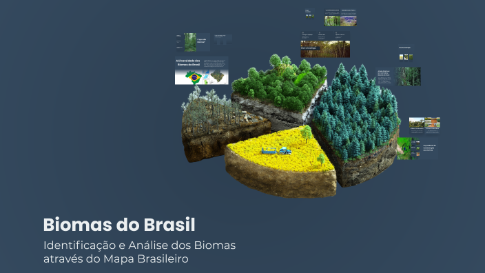 Biomas do Brasil by Edson Silva on Prezi
