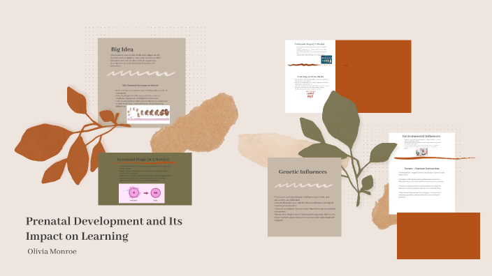 Prenatal Development and Its Impact on Learning by Olivia Monroe on Prezi