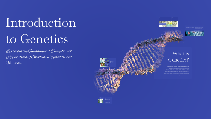 Introduction to Genetics by Anne Lorraine Pineda on Prezi