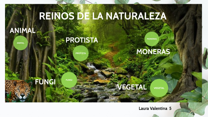 REINOS DE LA NATURALEZA by LAURA REYES on Prezi