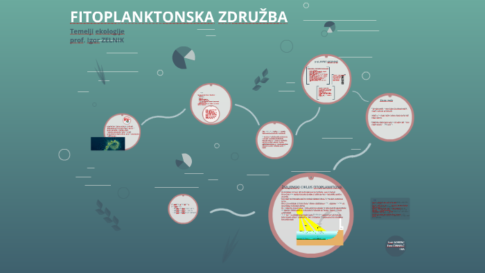 Fitoplanktonske Zdruzbe By Loti Gorenc On Prezi Next