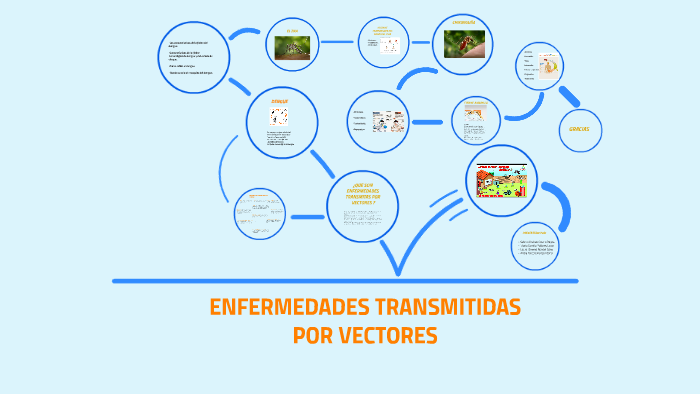 Enfermedades Transmitidas Por Vectores By Selena Castro Reyes On Prezi